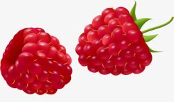 水果树莓图素材