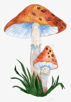 卡通手绘可爱的蘑菇素材