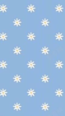 蓝底白花雏菊背景背景