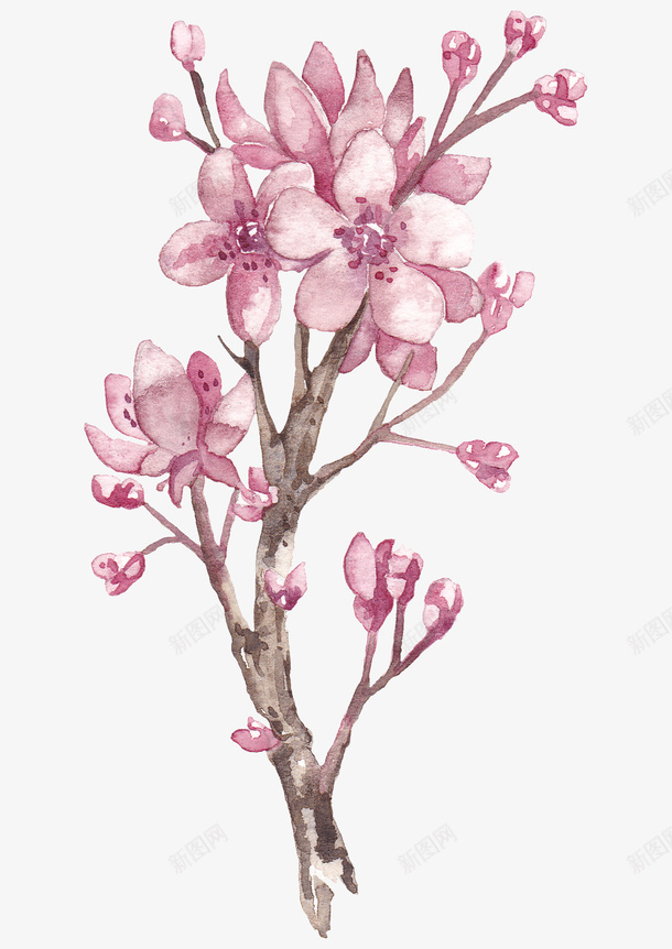粉色花朵植物元素png免抠素材_新图网 https://ixintu.com 手绘 植物 粉色 花朵