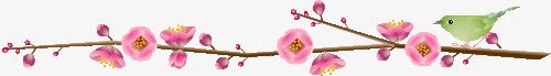 卡通分割线png免抠素材_新图网 https://ixintu.com 分割线 花朵 鸟