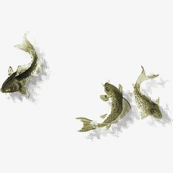 年年游鱼三只小鱼装饰元素高清图片