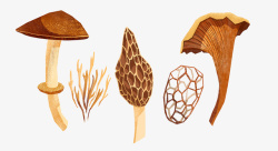 手绘蘑菇图案素材