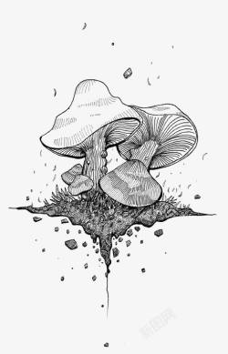 菌类插画手绘蘑菇高清图片