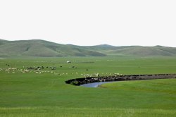 绿色蒙古草原蒙古草原牧场高清图片