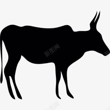 哺乳类动物的黑色剪影图标图标
