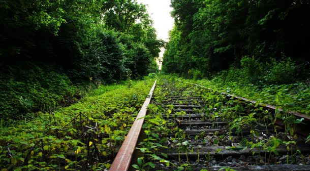 树林下荒废的铁路背景