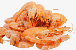 红色虾仁简单朴素美食红虾仁图高清图片