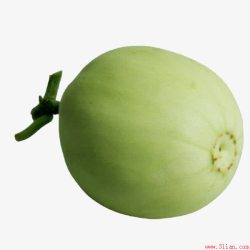 果蔬瓜横着的香瓜高清图片