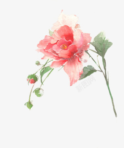 好看的花朵手绘彩色玫瑰花高清图片