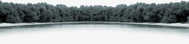 湖畔绿色树林png免抠素材_新图网 https://ixintu.com 树林 湖畔 素材 绿色 茂盛