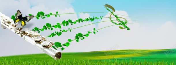 音乐背景jpg设计背景_新图网 https://ixintu.com 乐符 清新 绿色 蝴蝶 长笛