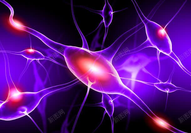 神经系统jpg设计背景_新图网 https://ixintu.com 其它类别 医学 医学背景图片 医疗卫生科学 图片素材 神经系统 神经系统图片 神经系统图片素材下载 神经纤维 背景花边