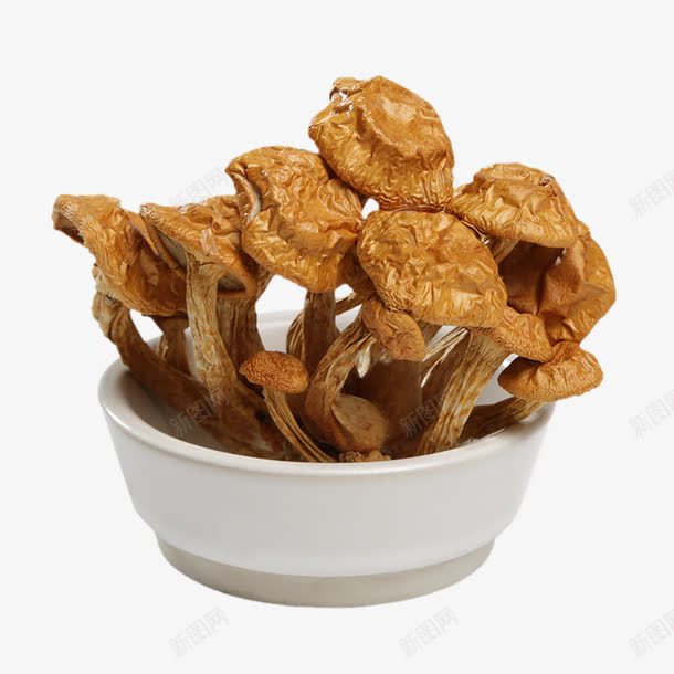 滑子菇png免抠素材_新图网 https://ixintu.com png图片素材 一碗蘑菇 产品实物 免费png素材 干货 滑仔菇 蘑菇