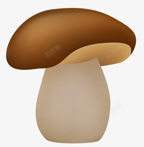 棕色蘑菇png免抠素材_新图网 https://ixintu.com 棕色 白色 草菇 蘑菇 鲜菇