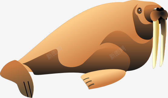 海象简笔画png免抠素材_新图网 https://ixintu.com 保护动物 动物简笔画 可爱卡通动物 手绘动物 海象 海象简笔画 珍稀动物
