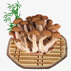 实物竹坯香菇素材