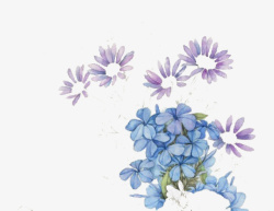 小紫花蓝色花朵高清图片