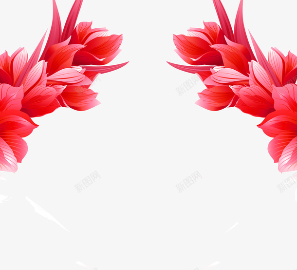 双枝红色花双边装饰png免抠素材_新图网 https://ixintu.com 双枝 双边 红色花 装饰