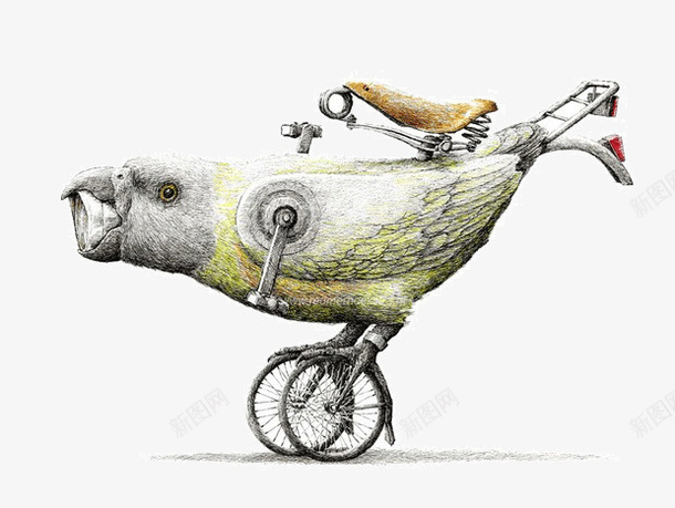 自行车素描插画png免抠素材_新图网 https://ixintu.com 素描 插画 手绘 创意 艺术 绘画 自行车 鸟