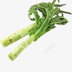 莴苣绿色蔬菜莴苣高清图片