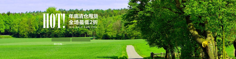 清仓背景psd设计背景_新图网 https://ixintu.com HOT 全场最低2折 女装banner 海报banner 深林 清仓背景 绿色