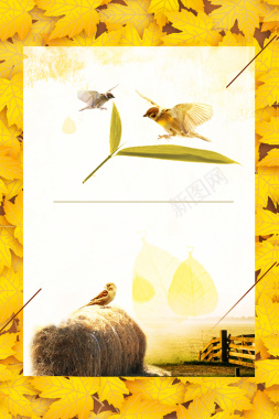 黄色秋叶立秋秋分节气海报背景背景