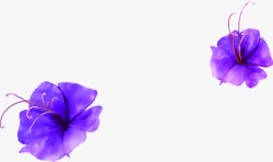 紫色韩版唯美花朵素材