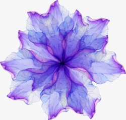 紫色海报植物花朵效果素材