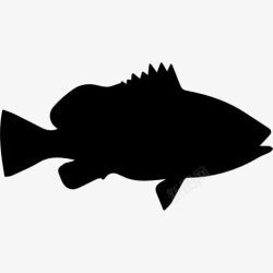 拿骚拿骚石斑鱼形图标高清图片
