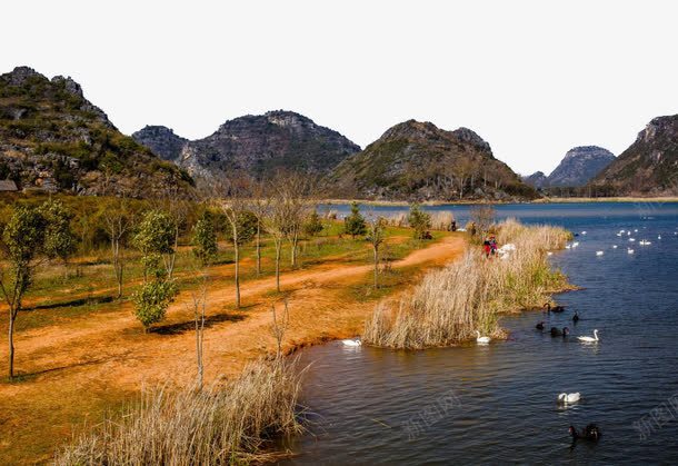 云南普者黑风景png免抠素材_新图网 https://ixintu.com 云南 旅游 景点 著名 风景