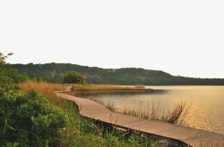 公园湖泊夕阳下的栈桥美景高清图片