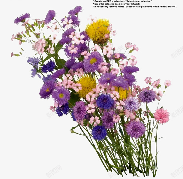 紫色花朵构成的花束png免抠素材_新图网 https://ixintu.com 唯美 简约 紫色 花束 装饰