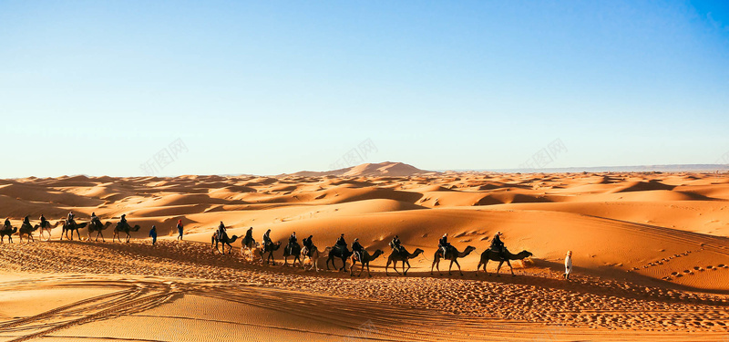 沙漠骆驼蓝天背景图jpg_新图网 https://ixintu.com 摄影 沙漠 海报banner 蓝天 风景 骆驼