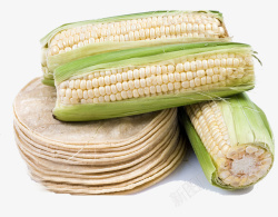 鲜玉米三根乳白鲜玉米棒子高清图片