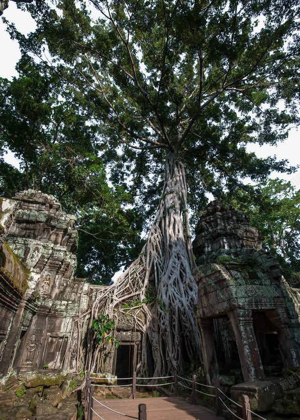 柬埔寨王国风景png免抠素材_新图网 https://ixintu.com 名胜古迹 图片素材 地方景点 实物图 摄影图 景区 柬埔寨 自然景观 高清图片