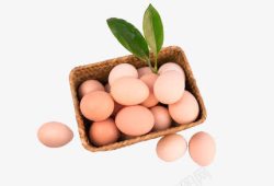 土鸡蛋篮子正宗农家散养土鸡蛋高清图片