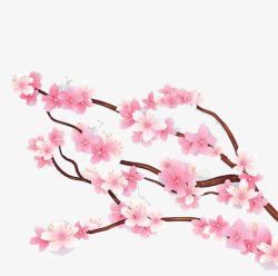 粉色粉嫩盆子怒放的樱花花枝高清图片