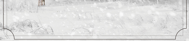 中国传统节气小雪海报矢量图ai_新图网 https://ixintu.com 中国 二十四 传统 小雪 树木 海报 白色 简约 节气 矢量图