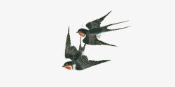 姘村椋庢牸水墨黑色可爱飞舞燕子装饰图案高清图片