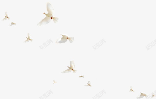 创意在布拉格广场上休息的白鸽png免抠素材_新图网 https://ixintu.com 休息 布拉格 广场 意在 清创 白鸽
