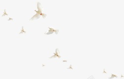 清创创意在布拉格广场上休息的白鸽高清图片