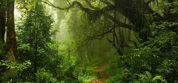 风景系列背景背景