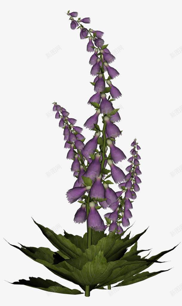 紫色花朵花树装饰png免抠素材_新图网 https://ixintu.com 紫色 花朵 装饰