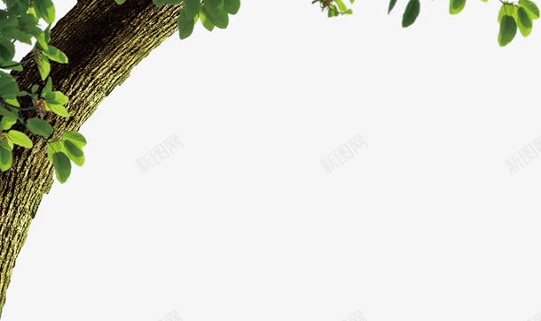 创意元素绿色植物png免抠素材_新图网 https://ixintu.com 元素 创意 绿色植物