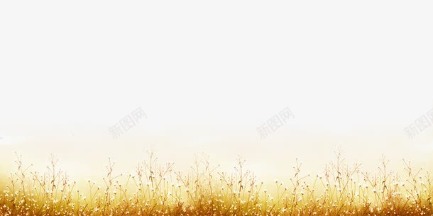 黄草的边框png免抠素材_新图网 https://ixintu.com 底框 秋景 边框 黄色