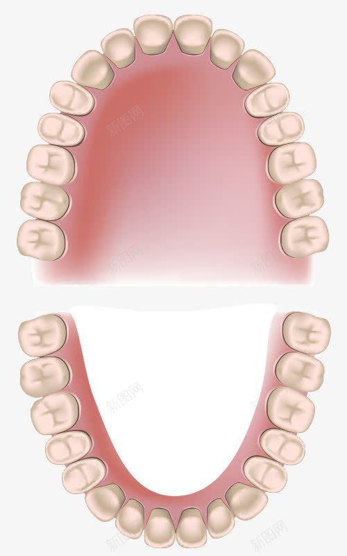 牙齿健康分析图png免抠素材_新图网 https://ixintu.com 牙医医生 牙痛 牙齿治疗 牙齿疼痛