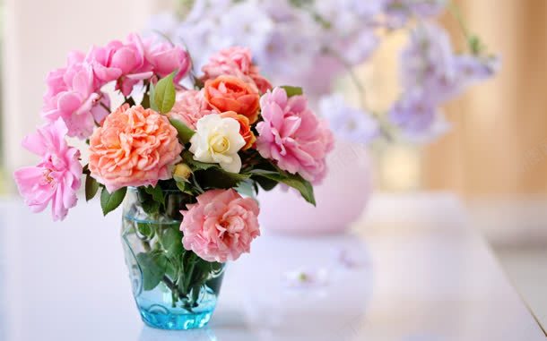 彩色鲜花花瓶jpg设计背景_新图网 https://ixintu.com 彩色 素材 花瓶 鲜花