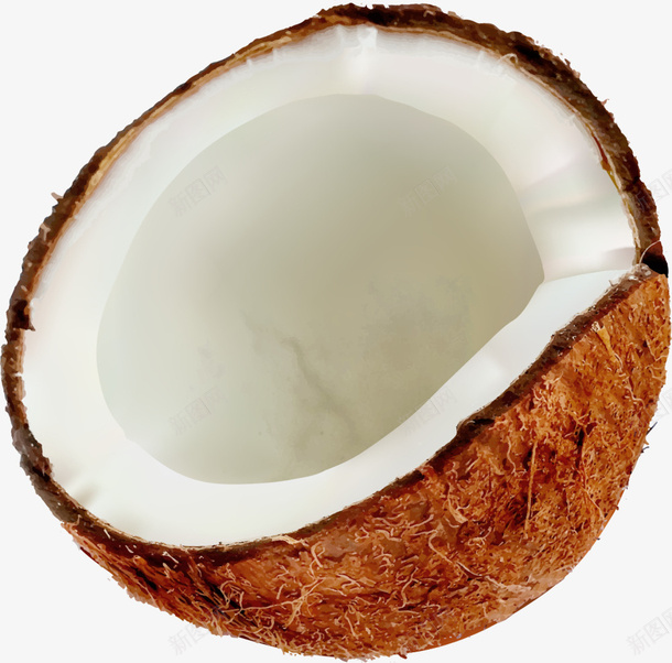 美味棕色椰子png免抠素材_新图网 https://ixintu.com 果肉 棕色椰子 水彩 水果 白色椰子肉 美味椰子