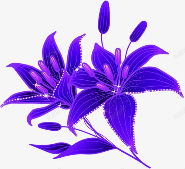 手绘质感合成紫色的罗兰花png免抠素材_新图网 https://ixintu.com 兰花 合成 紫色 质感